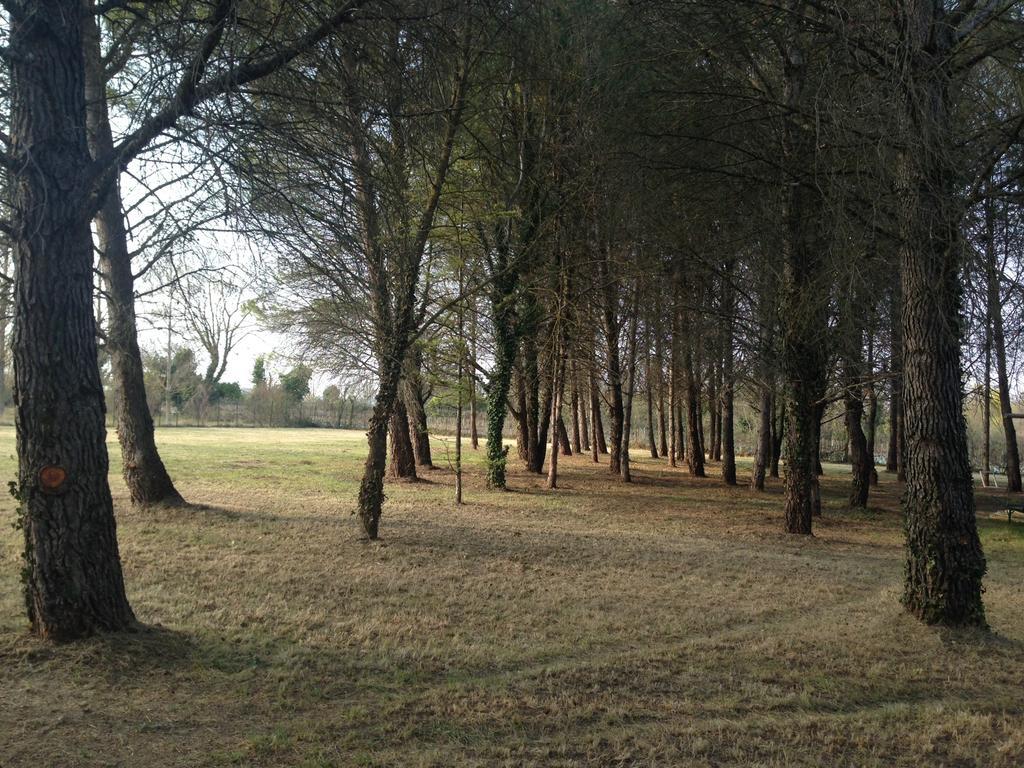 Le Mas De Trevouse Saint-Saturnin-les-Avignon Екстер'єр фото