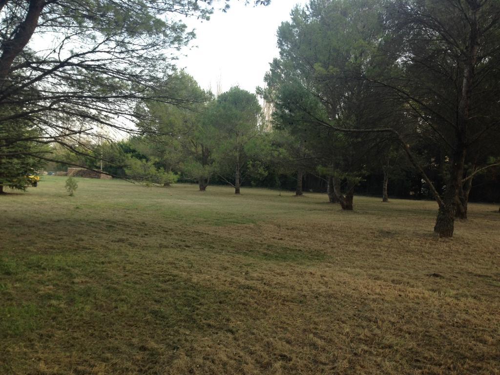 Le Mas De Trevouse Saint-Saturnin-les-Avignon Екстер'єр фото